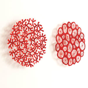 Specimen Collection 3 (coral) 