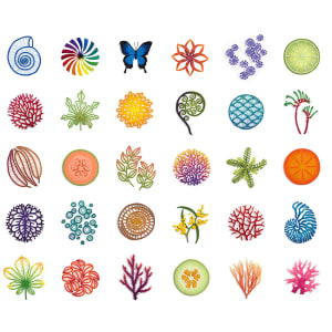The Next 50 - limited edition art print by Meredith Woolnough