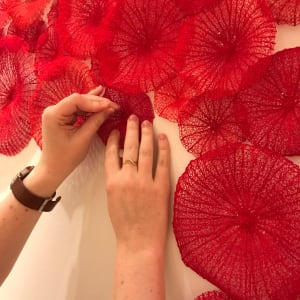 The New Neighbours by Meredith Woolnough 
