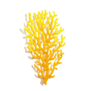 #82 Yellow Coral Fan 