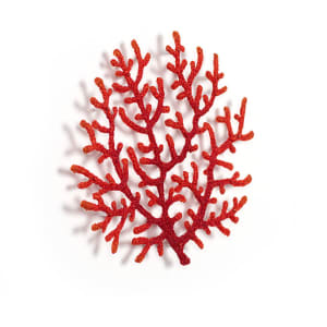 #20 Red Coral Circle 
