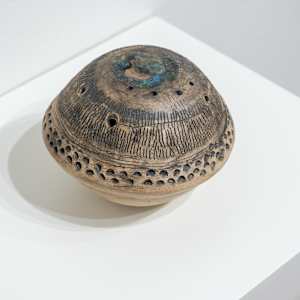 Reef Pods Series by Ana Žanić 