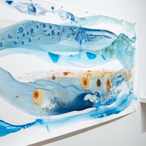Origin Aqueous -Reef by Ana Žanić  Image: Image from solo exhibition "Origin: Wondorus Worlds" Robert F. DeCaprio Art Gallery August 2025