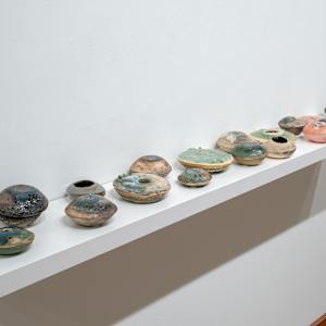 Reef Pods Series by Ana Žanić 