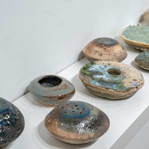 Reef Pods Series by Ana Žanić 