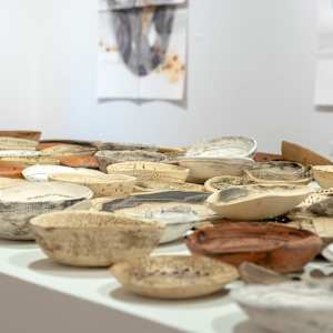 Gathering Series by Ana Žanić 