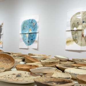 Gathering Series by Ana Žanić 