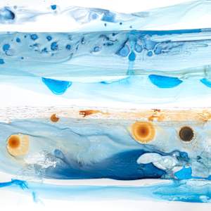 Origin Aqueous -Reef by Ana Žanić