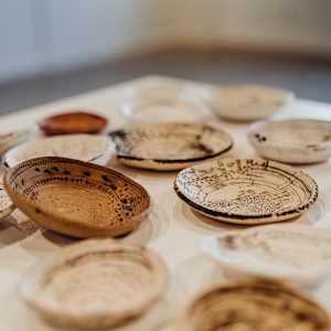 Gathering Series by Ana Žanić 