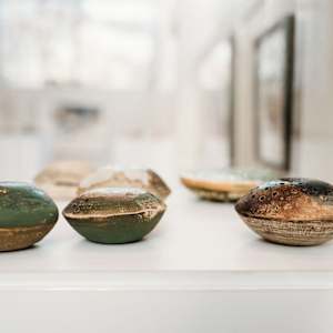 Reef Pods Series by Ana Žanić