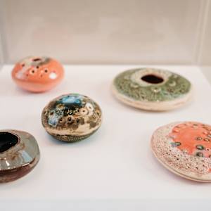 Reef Pod Series by Ana Žanić, Image 12.
