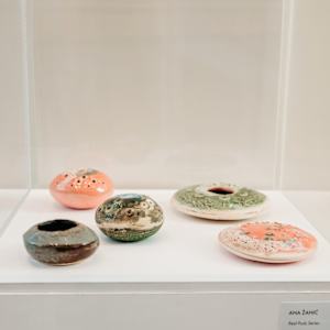 Reef Pod Series by Ana Žanić, Image 13.