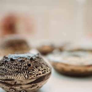 Reef Pod Series by Ana Žanić, Image 19.