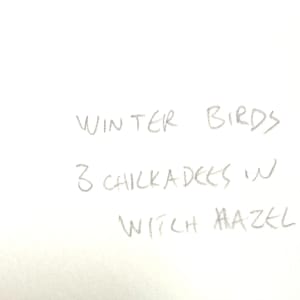 2899 - Winter Birds, 3 Chickadees in Witch Hazel by Ann Nelson 