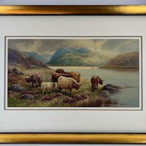 11261 - Steer in Highlands