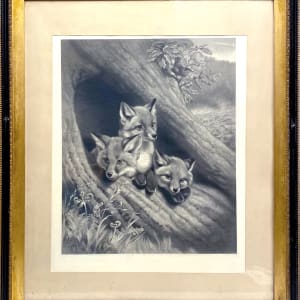 2718 - Three Fox Pups In a Burrow by William Henry Simmons ( 1811 -1882)