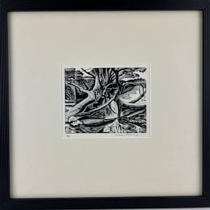 11245 - Tangled Trees