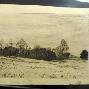 2904 - Oncoming Frost in Richmond Park No7 by Llewellyn Petley-Jones (1908-1986) 