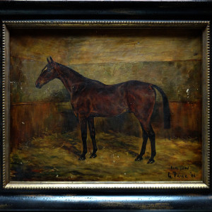 0030 - Portrait of a Horse 'Don Juan' by G Paice