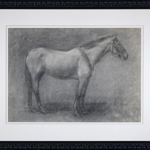 2039 - Drawing of Horse by Kate Smith Hoole