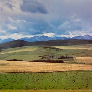 2891 - Pasture Hills 