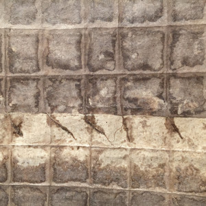 8x12ziggurat TRIO by susan singleton 