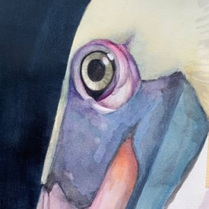 Eye of Pelican by Kris Parins