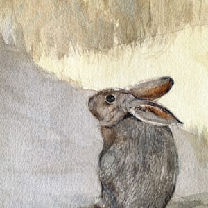 Rabbit Rests by Kris Parins