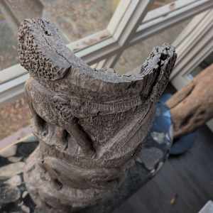 Elephants on High by Rigsby Frederick 