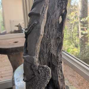 Chiwara Fertility Statute by Rigsby Frederick 