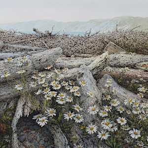 Of Time and Tide by Laurel Lake McGuire