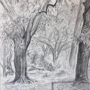 Spring Day In Coker Arboretum, UNC Chapel Hill by Julia Chandler Lawing