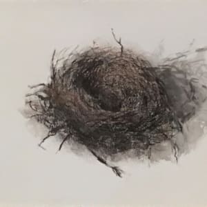 Nest with a Shadow by Vered Shamir Pasternak