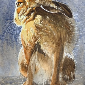 Sunlit Hare by Susan Clare