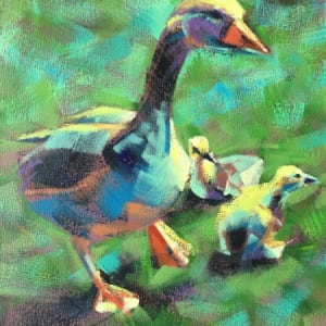 Goslings by Susan Clare 