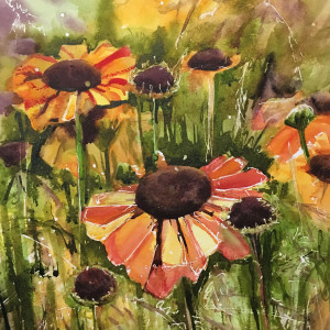 Heleniums by Susan Clare