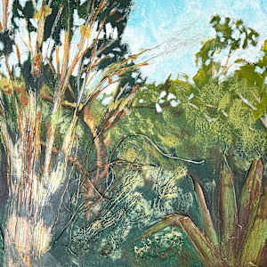 Tree in Morning Light by Susan Clare