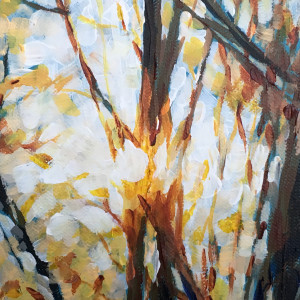 Sunrise Trees by Susan Clare 