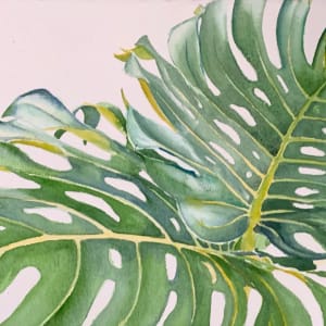Two Monstera Leaves by Susan Clare