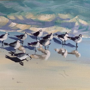 Eleven Little Gulls by Susan Clare