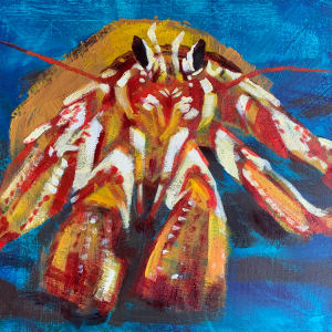 Orange Hermit Crab by Susan Clare