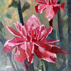 Pink Torch Ginger Lilies by Susan Clare