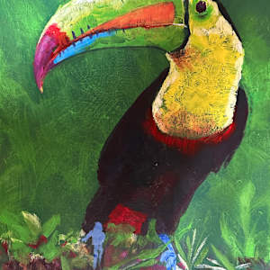 Tropical Toucan by Susan Clare  Image: Tropical Toucan - with signature