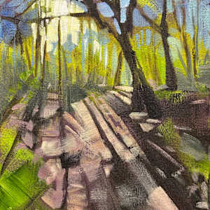 Woodland Path by Susan Clare