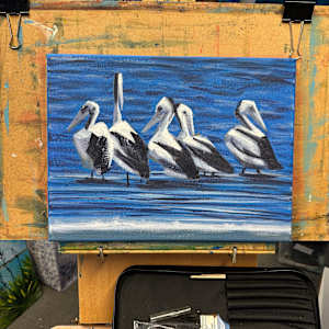 Five Pelicans by Susan Clare  Image: one my weasel - almost finished.