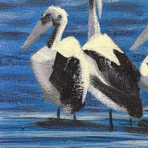 Five Pelicans by Susan Clare  Image: close up WIP