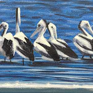 Five Pelicans by Susan Clare  Image: work in progress