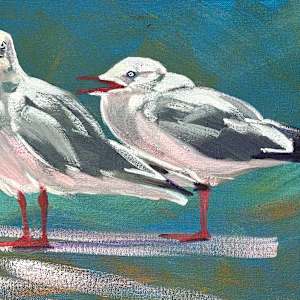 Feed Me by Susan Clare