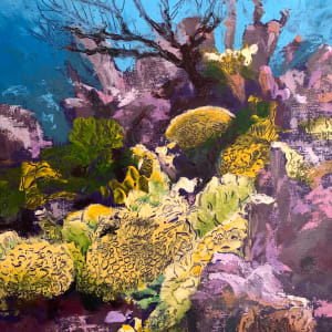 Felix's Reef by Susan Clare