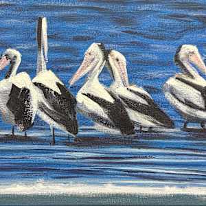 Five Pelicans by Susan Clare